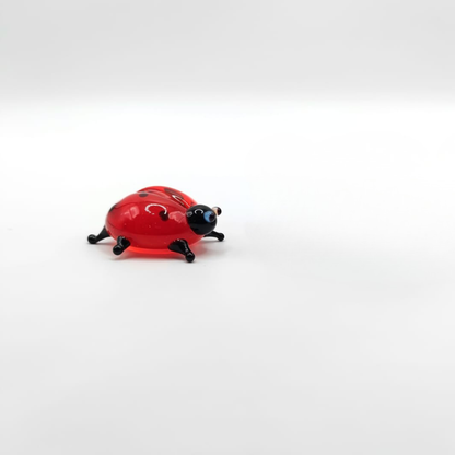 Ladybug miniature