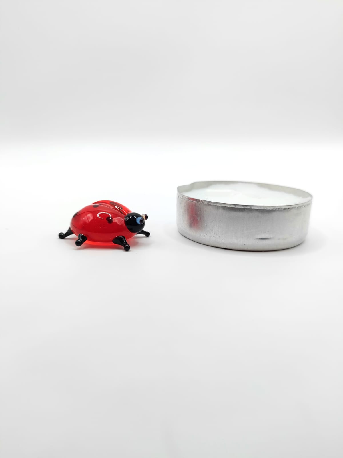 Ladybug miniature